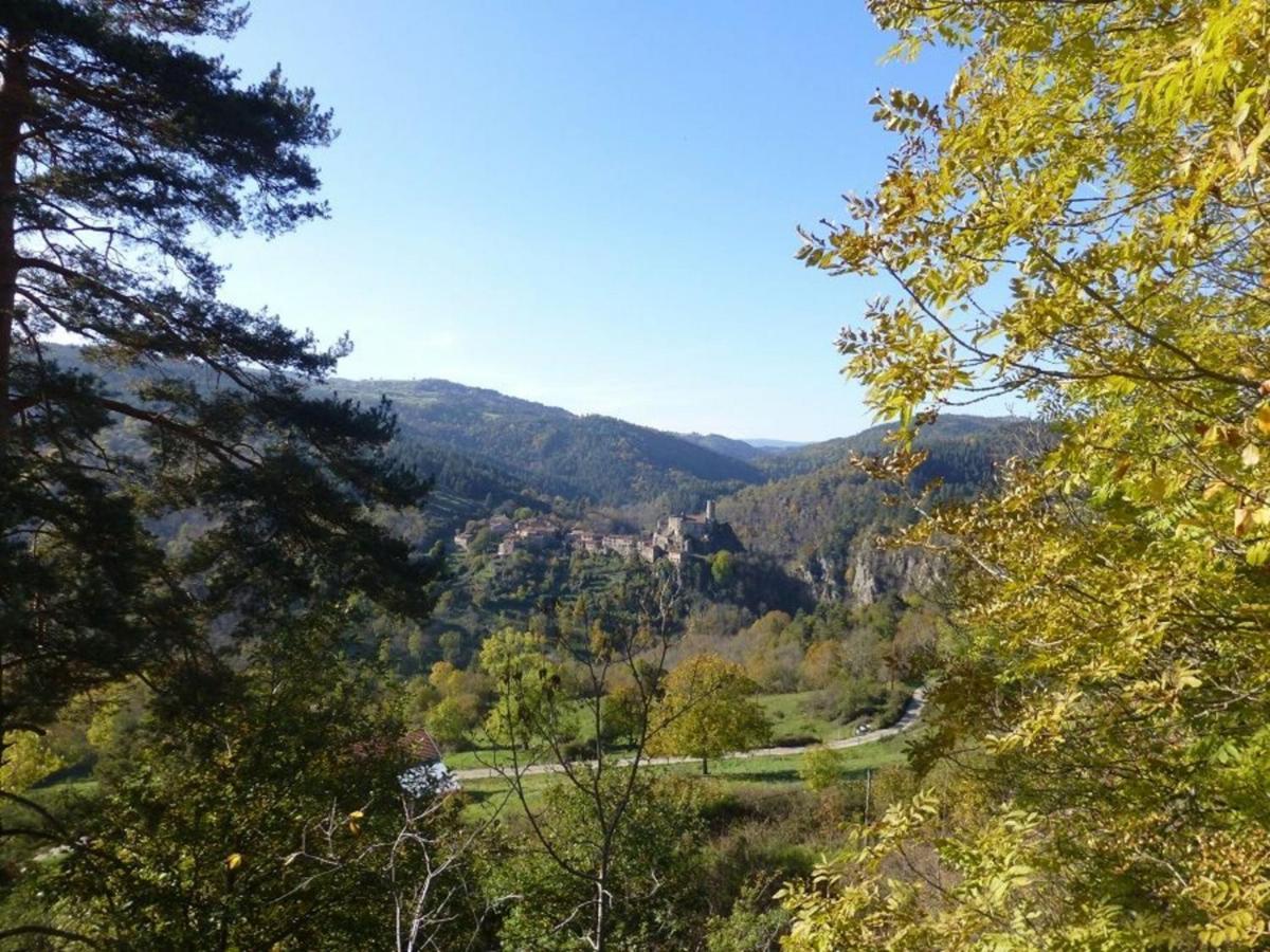 Gite En Pierre Avec Terrasses, Proche De Sites Medievaux, Ideal Pour Famille Avec Equipements Bebe. - Fr-1-582-256 Boisset  Eksteriør bilde